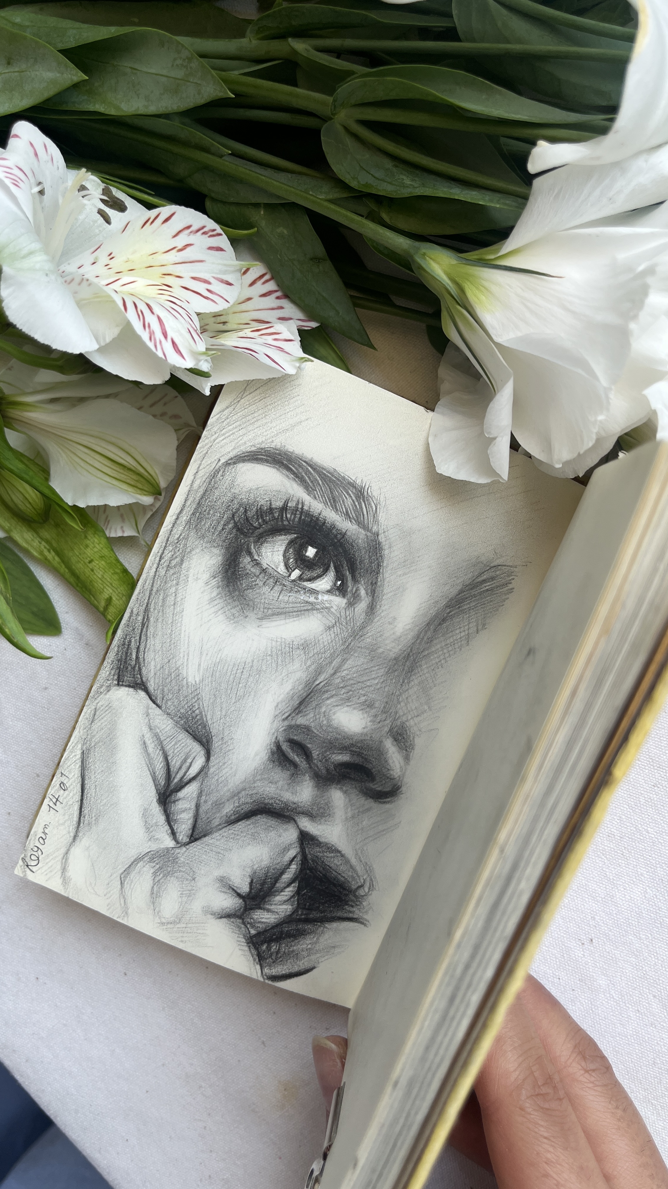 تمرین طراحی چهره با مداد برای شروع اصولی مبتدی‌ها